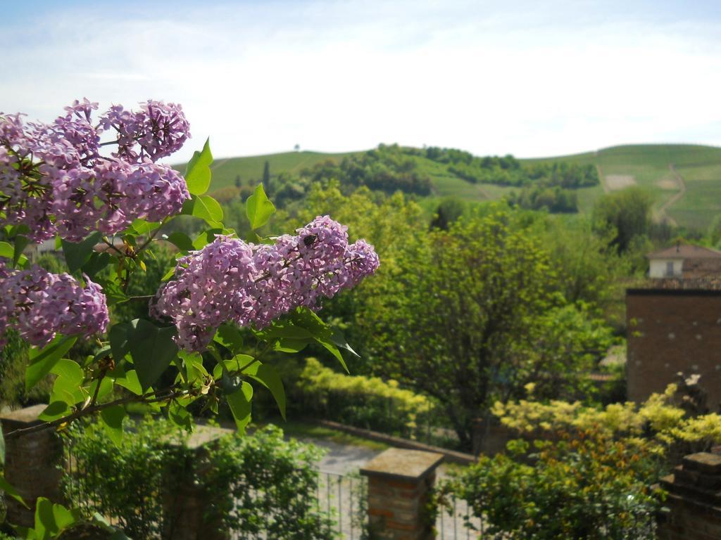 Tenuta Calabiana Diano dʼAlba Δωμάτιο φωτογραφία