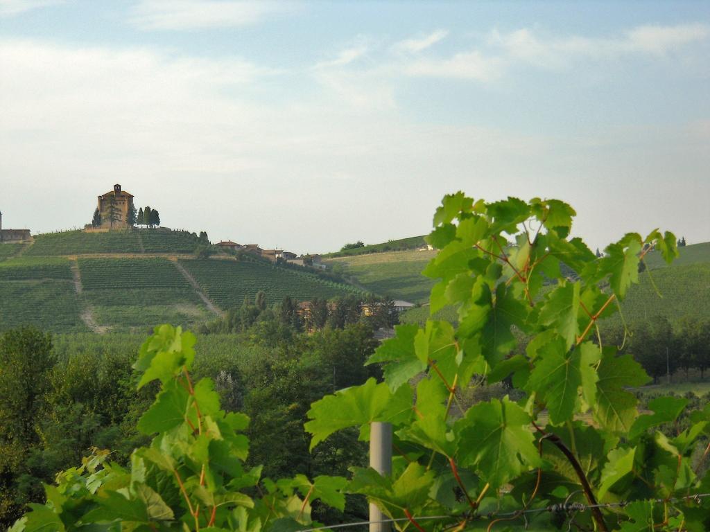 Tenuta Calabiana Diano dʼAlba Δωμάτιο φωτογραφία